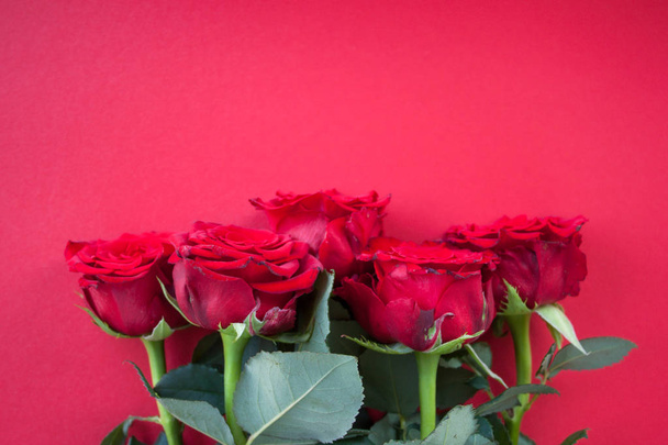 Red roses background. - Φωτογραφία, εικόνα