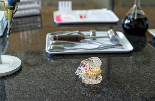 Sztuczna ludzka szczęka z zębami i narzędziami chirurgicznymi ustawiani na blacie laboratoryjnym - Zdjęcie, obraz