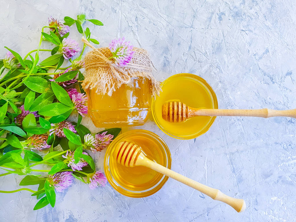 φρέσκο μέλι λουλούδι τριφύλλι σε γκρι σκυρόδεμα φόντο - Φωτογραφία, εικόνα