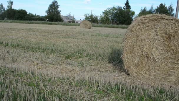 Man move straw bale field - Footage, Video