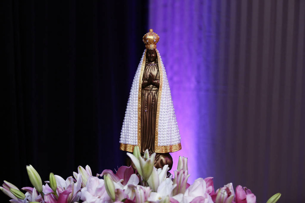 Socha obrazu Panny Marie Aparecidy - Fotografie, Obrázek