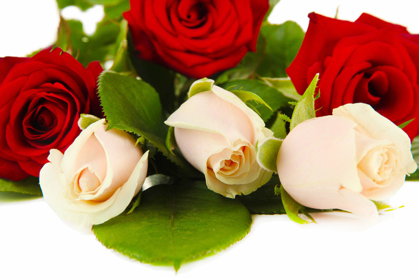 Beautiful roses, isolated on white - Photo, image