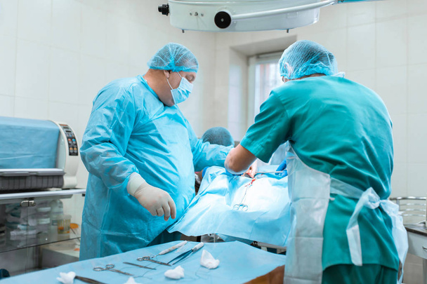 Equipo médico realizando la operación. Grupo de cirujanos en el trabajo
 - Foto, Imagen