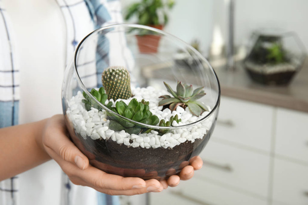 Young woman holding florarium with different succulents indoors, closeup - Фото, изображение