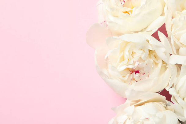 Beautiful peonies on color background, flat lay with space for text - Foto, afbeelding
