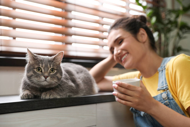 Young woman with cute cat at home. Pet and owner - Photo, image