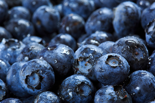 Blueberries - Fotoğraf, Görsel