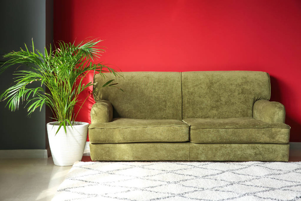 快適なソファ付きのモダンな部屋のインテリア - 写真・画像