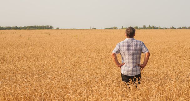 agricultor de pie en un campo de trigo - Foto, imagen