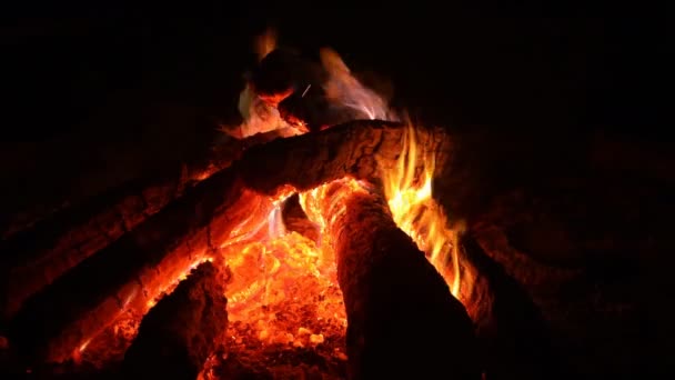 Tradiční krb s pálením dřeva - Záběry, video