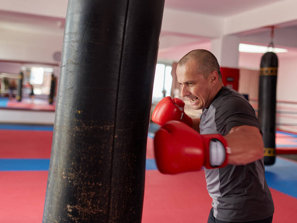 Boxer training with heavy bag in gym  - Fotó, kép