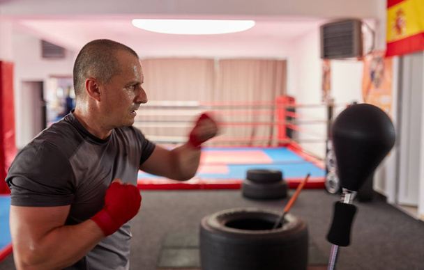 Boxer working with the speed bag - 写真・画像
