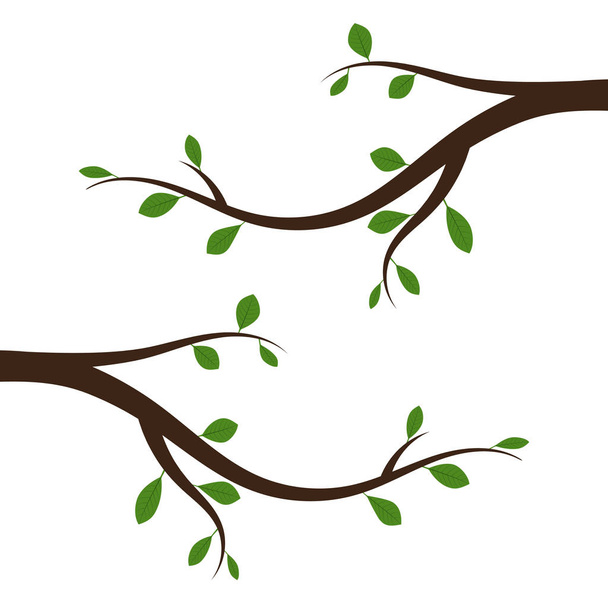 Tree branch with green leaves. Vector illustration. - Vector, Image