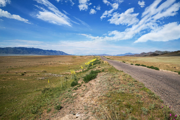 Δρόμος υψηλής ταχύτητας στο Καζακστάν στέπα - Φωτογραφία, εικόνα