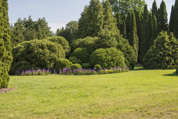 Salaspils, Lotyšská Botanická zahrada, přírodní krajina. 2019. - Fotografie, Obrázek