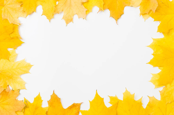 autumn season background yellow leaves frame - Photo, Image