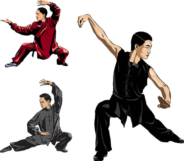Wushu, kung fu, tekvando. Erkekler duruş mücadele duruşu Wushu gösterir. Yavaş çekim tekniği. Vektör çizimi.  - Vektör, Görsel