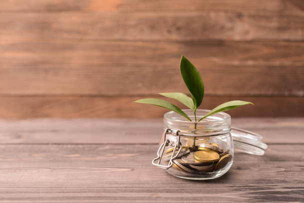 Vaso con monete e pianta in crescita sul tavolo di legno. Concetto di risparmio
 - Foto, immagini