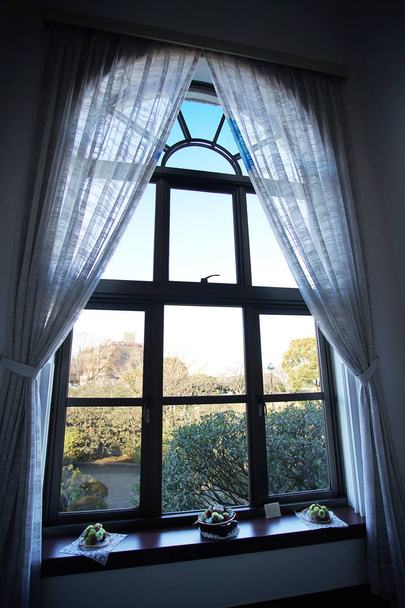 Paesaggio da mostrare dalla finestra con la tenda della stanza del giorno quando andava bene
                                - Foto, immagini