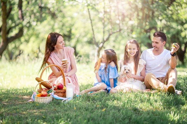 Happy family on a picnic in the park on a sunny day - Fotografie, Obrázek