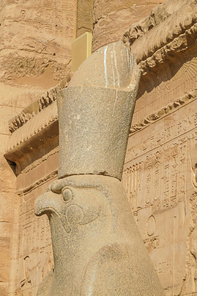 Primo piano della testa di falco di Horus presa dal lato del tempio di Edfu
 - Foto, immagini