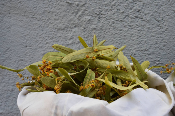 Flores frescas y hojas de tilo. medicina herbal, taza de té de tilo saludable con miel. Flores de tilo secas
 - Foto, Imagen