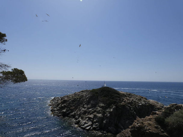 Seagulls flying above the blue sea and between the cliffs, watching the entrance of other predators and protecting their chicks. The seagulls have wings of great importance, take advantage of the gusts of air very well - Photo, Image