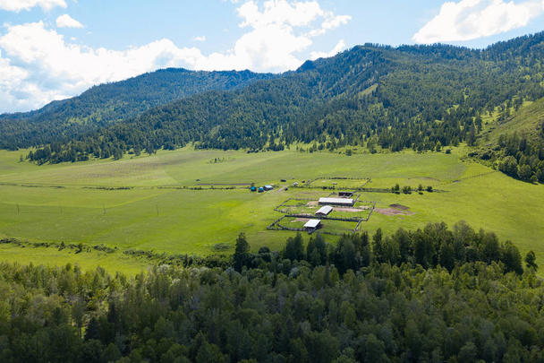 Аерофотозйомка ділянок худоби та сільськогосподарських зелених полів у
  - Фото, зображення