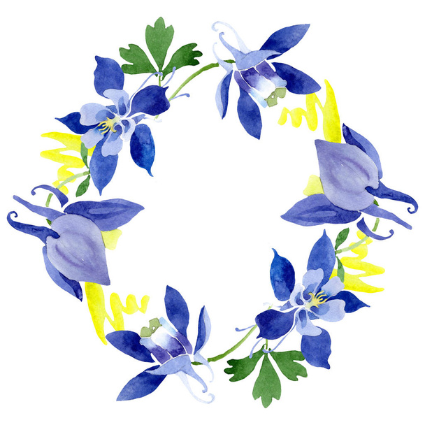 青いアクイレジア花の植物の花。●水彩背景イラストセット。フレームボーダーオーナメント正方形. - 写真・画像