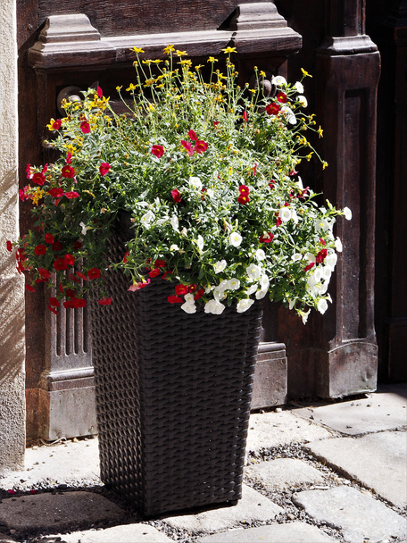garden decorations with flowering plants on balconies and terraces. - Fotografie, Obrázek