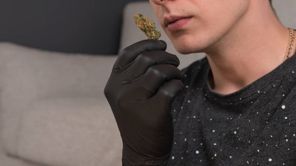 De jonge persoon houdt in zijn hand medische marihuana toppen. Cannab - Foto, afbeelding