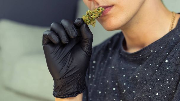 De jonge persoon houdt in zijn hand medische marihuana toppen. Cannab - Foto, afbeelding