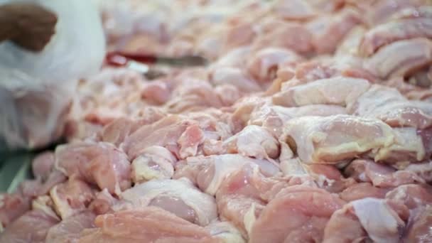 Choosing fresh raw chickens in supermarket. Buying fresh chicken breast meat in market. - Video, Çekim