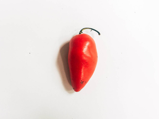 Tuore punainen kuuma Habanero pippuri tai Gendol chili valkoisella pohjalla
 - Valokuva, kuva