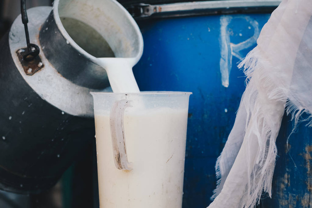 Farmer pouring raw milk from dairy farm into container for selling to industries or market - Fotoğraf, Görsel