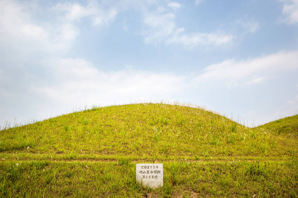 Goryeong'daki Jisandong Antik Mezarları Kore'deki Dae Gaya'nın antik mezarlarıdır.. - Fotoğraf, Görsel