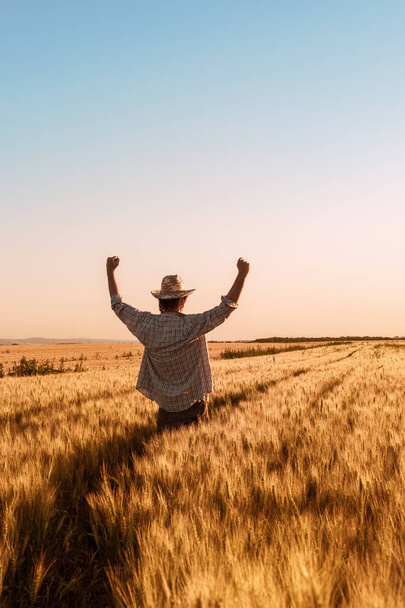 Proud happy victorious wheat farmer with hands raised in V - Φωτογραφία, εικόνα