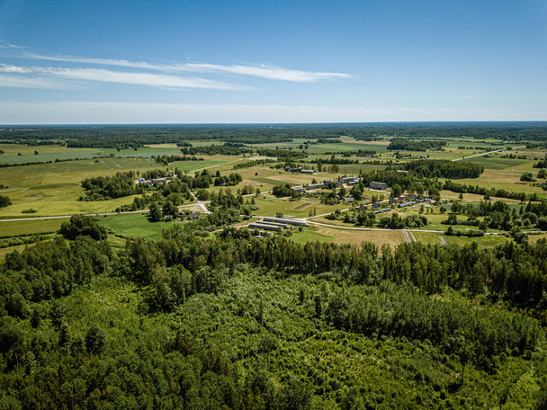 yaz aylarında drone havadan görüntü sonsuz yeşil orman - Fotoğraf, Görsel
