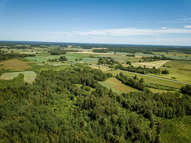 夏のドローンの航空写真から無限の緑の森 - 写真・画像