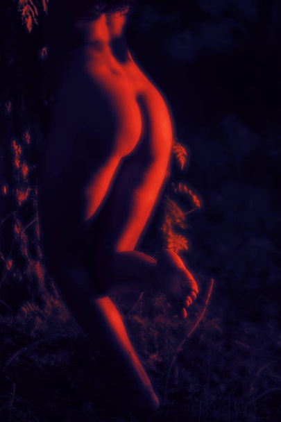 γυμνή γυναίκα στο φως του ήλιου στο φόντο του δάσους - Φωτογραφία, εικόνα