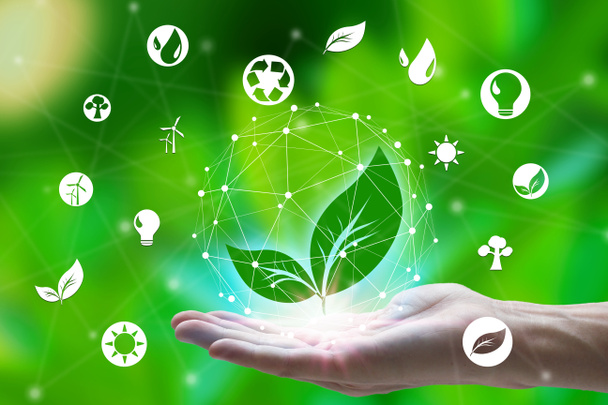 Hand holding with leaf and environment icons over the Network co - Photo, Image