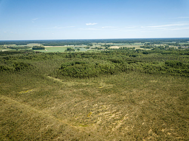 niekończący się zielony las z Drone aerial obrazu w lecie - Zdjęcie, obraz