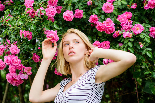 Girl adorable blonde sniffing fragrance of pink bloom. Spring and summer. Perfume and cosmetics. Woman in front of blooming roses bush. Blossom of wild roses. Secret garden concept. Aroma of roses - Фото, изображение