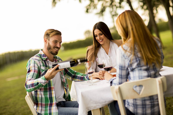 Gruppe junger Leute sitzt am Tisch und trinkt Rotwein im Weinberg - Foto, Bild