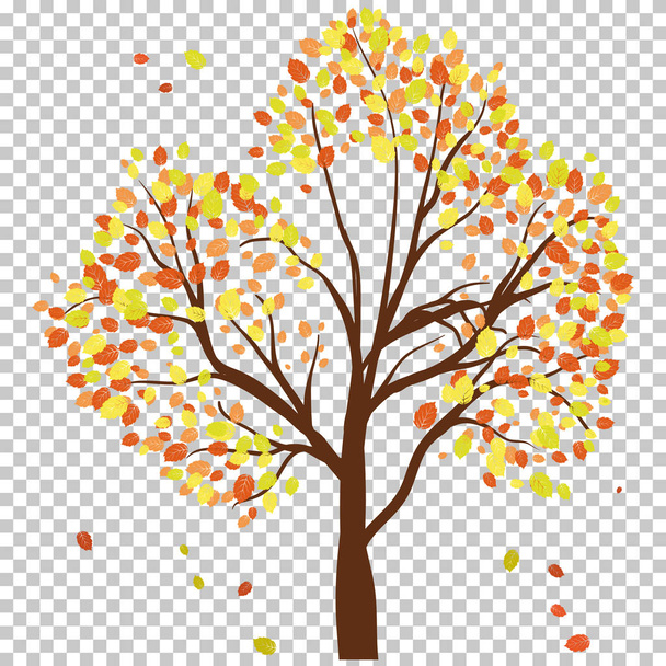 Autumn birch - Vector, Image