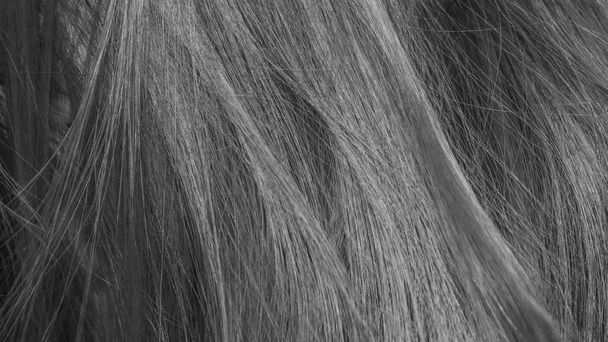 schwarze und weiße Haare Textur Hintergrund - Foto, Bild
