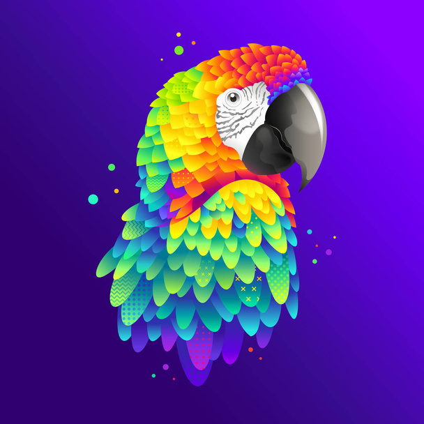 Graphic colorful parrot, macaw bird vector illustration  - Vector, Image