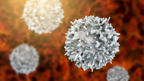 Λεμφοκύτταρα, κοντινό πλάνο των T-Cell ή B-cell - Φωτογραφία, εικόνα