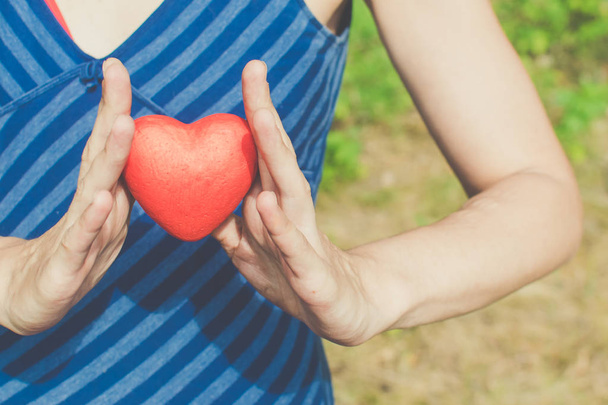 Концепция отношений и любви - женские руки, держащие красное сердце
 - Фото, изображение