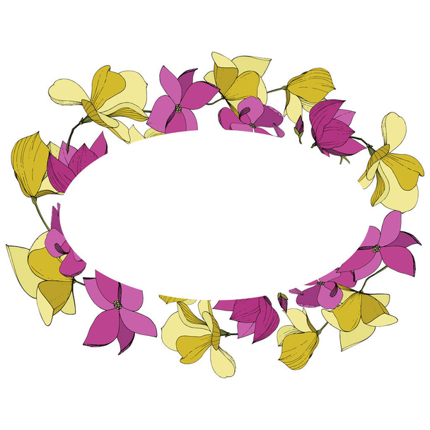 Vektormagnolie mit botanischen Blüten. lila und gelb gravierte Tuschekunst. Rahmen Rand Ornament Quadrat. - Vektor, Bild